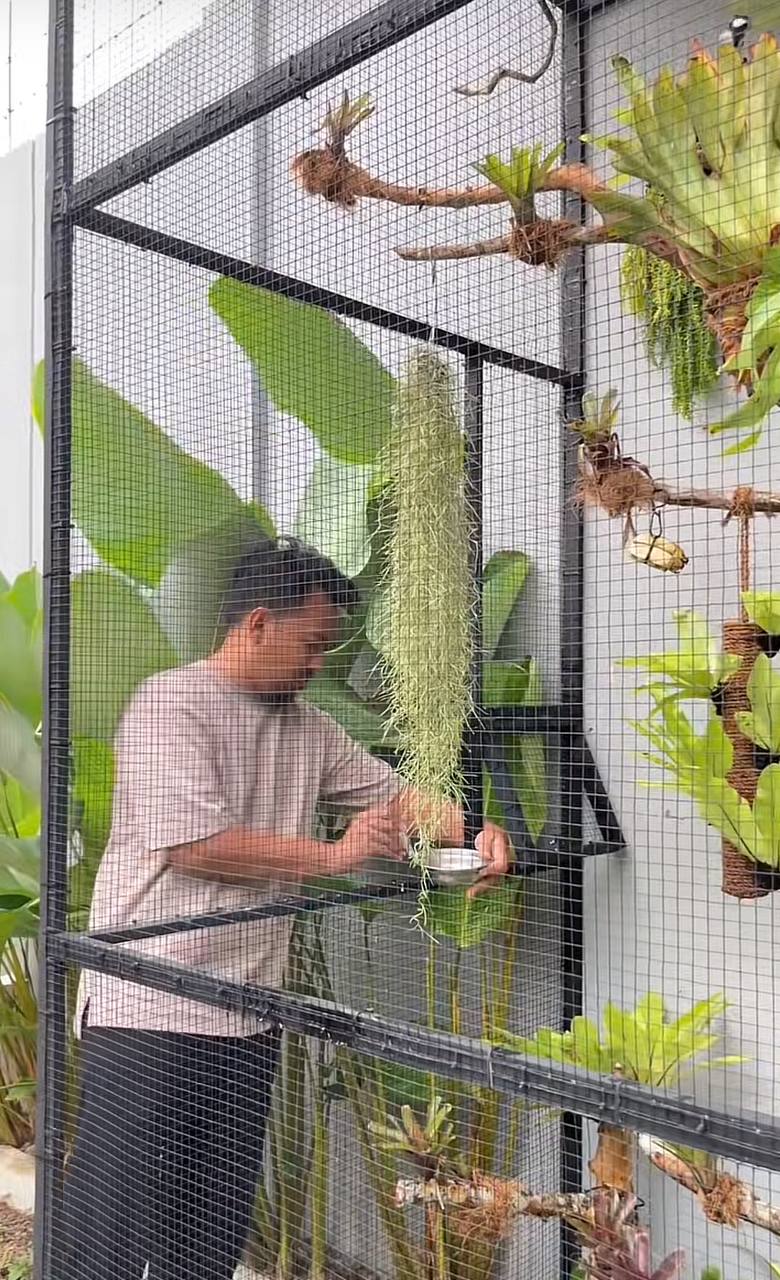 Nhà cho chim ở giá 6,5 triệu của một TikToker: Bên trong có gì?