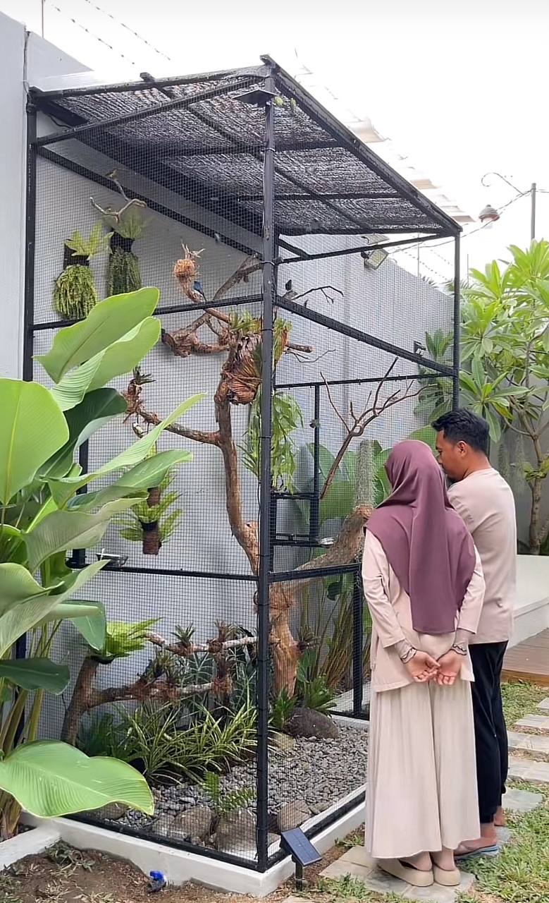 Hai vợ chồng thay nhau chăm sóc, dọn dẹp nhà cho chim ở.
