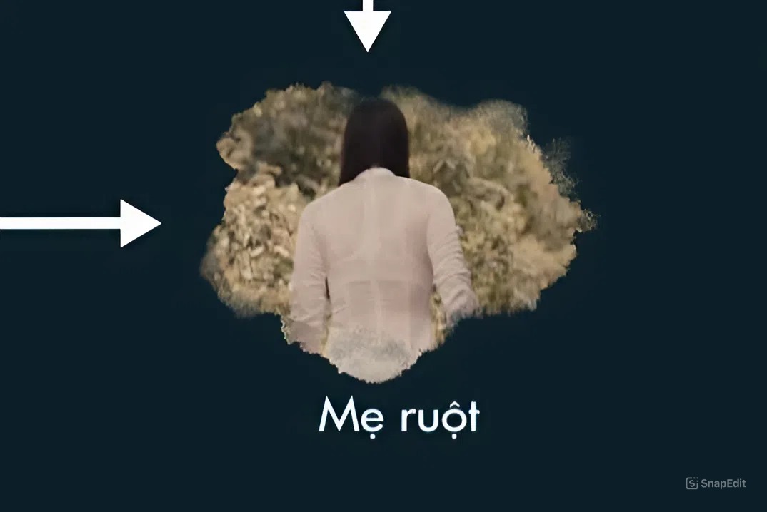 Gương mặt bị AI thay thế của Trương Ngọc Ánh