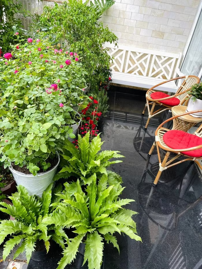 Nữ diễn viên Việt sở hữu biệt thự 4 tầng ở Sài thành, làm mẹ đơn thân một mình nuôi 2 con