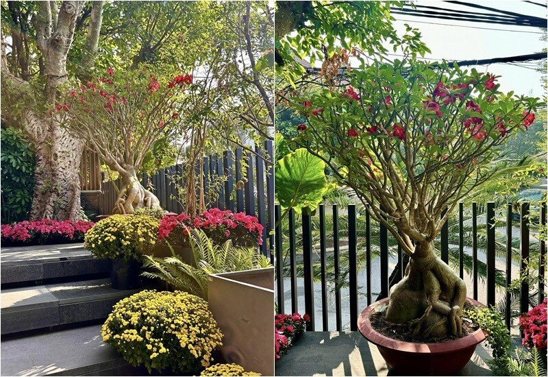 Mỹ nhân Việt 33 tuổi làm mẹ đơn thân, sống cùng con trai trong ngôi nhà phố 100m²
