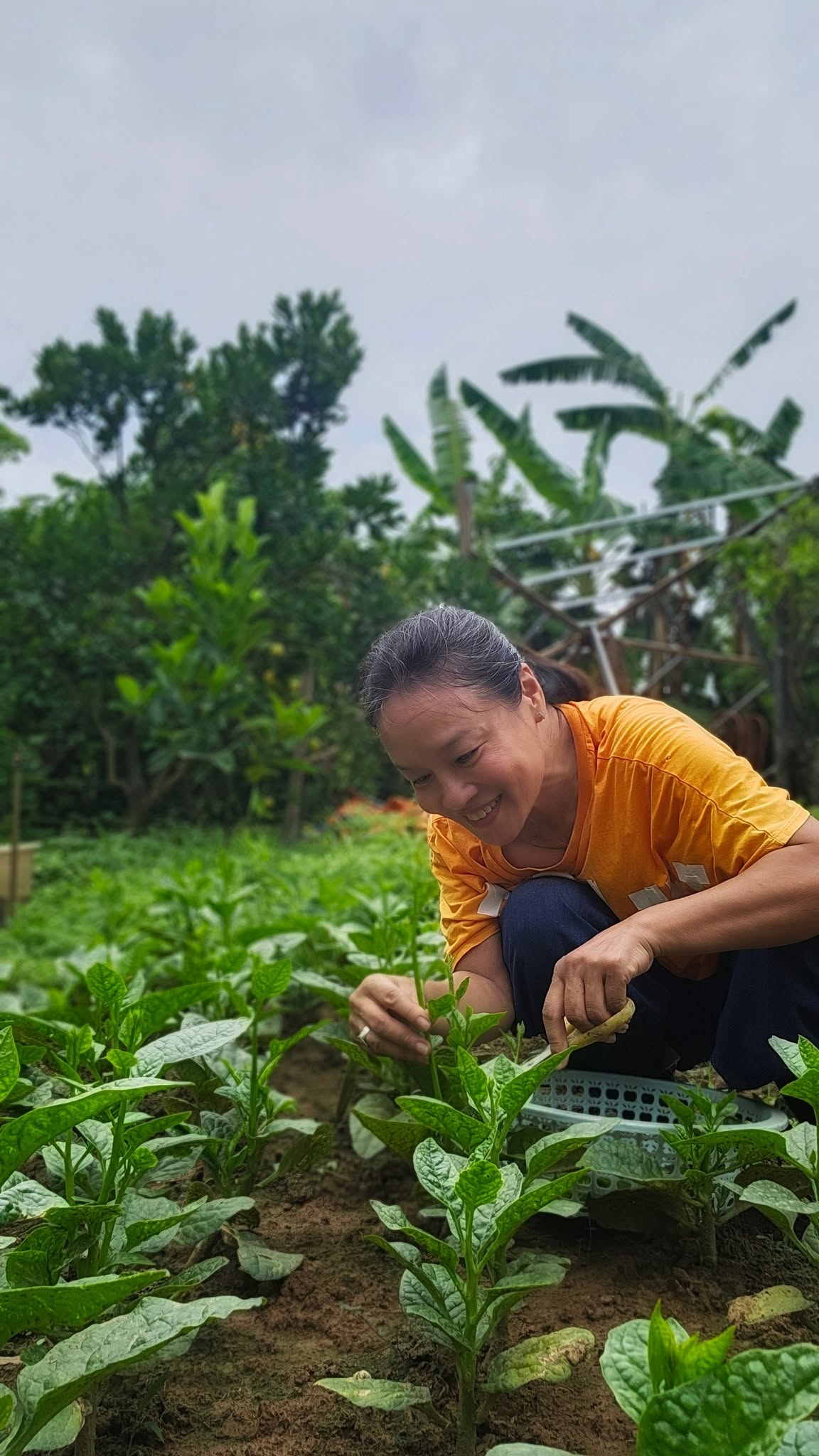 Nữ nghệ sĩ Việt nhận lương hưu gần 7 triệu đồng/th&aacute;ng, sở hữu khu vườn rộng 4.000m&sup2; ven s&ocirc;ng Hồng- Ảnh 6.