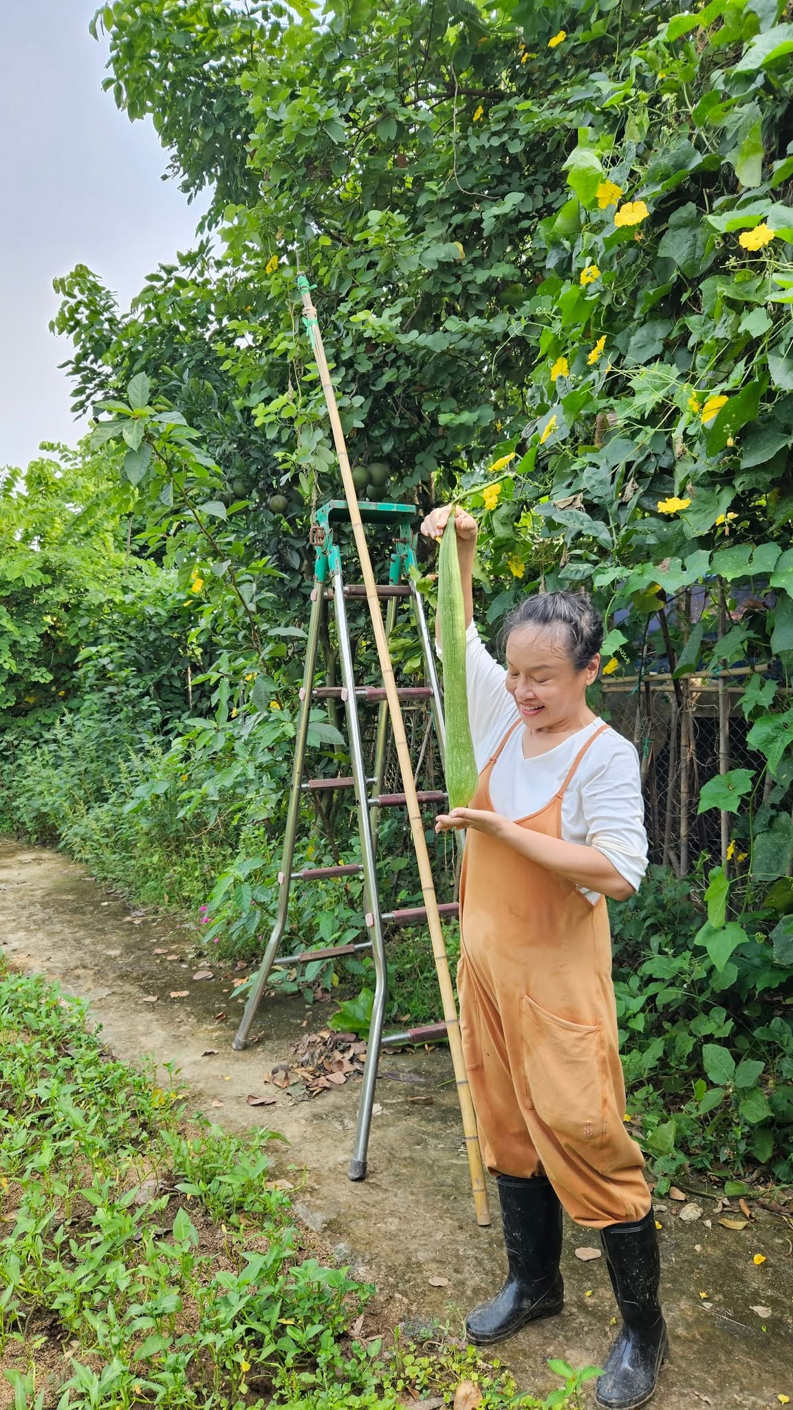 Nữ nghệ sĩ Việt nhận lương hưu gần 7 triệu đồng/th&aacute;ng, sở hữu khu vườn rộng 4.000m&sup2; ven s&ocirc;ng Hồng- Ảnh 7.