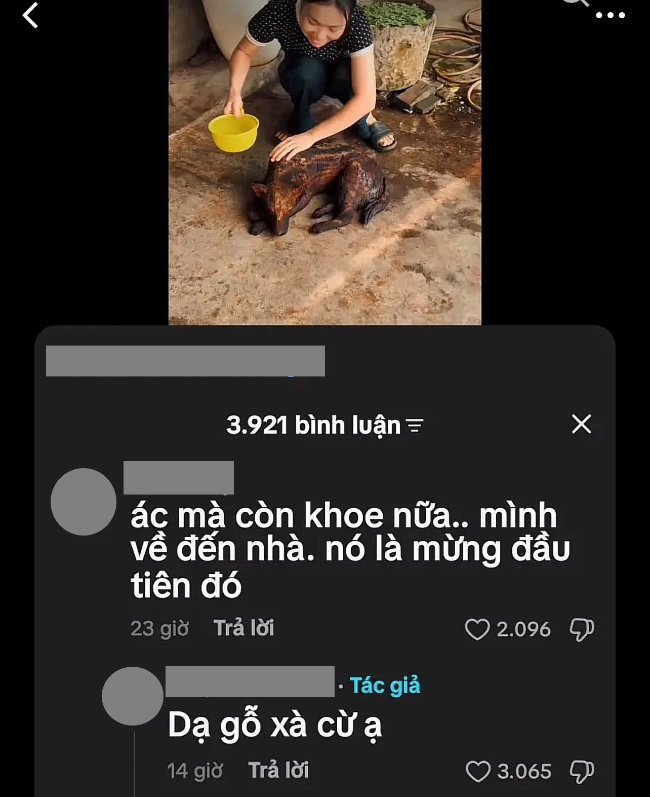 Cuộc trò chuyện bất ngờ tạo thành câu nói viral (Ảnh chụp màn hình)