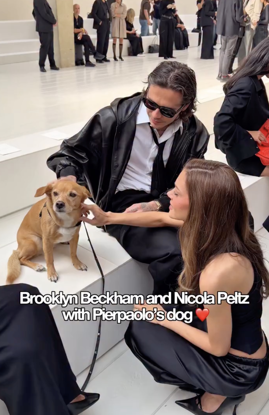 Khoảnh khắc Brooklyn Beckham và Nicola Peltz ngồi bệt xuống sàn mải mê cưng nựng chú cún của Pierpaolo Piccioli tại show Balenciaga SS27.