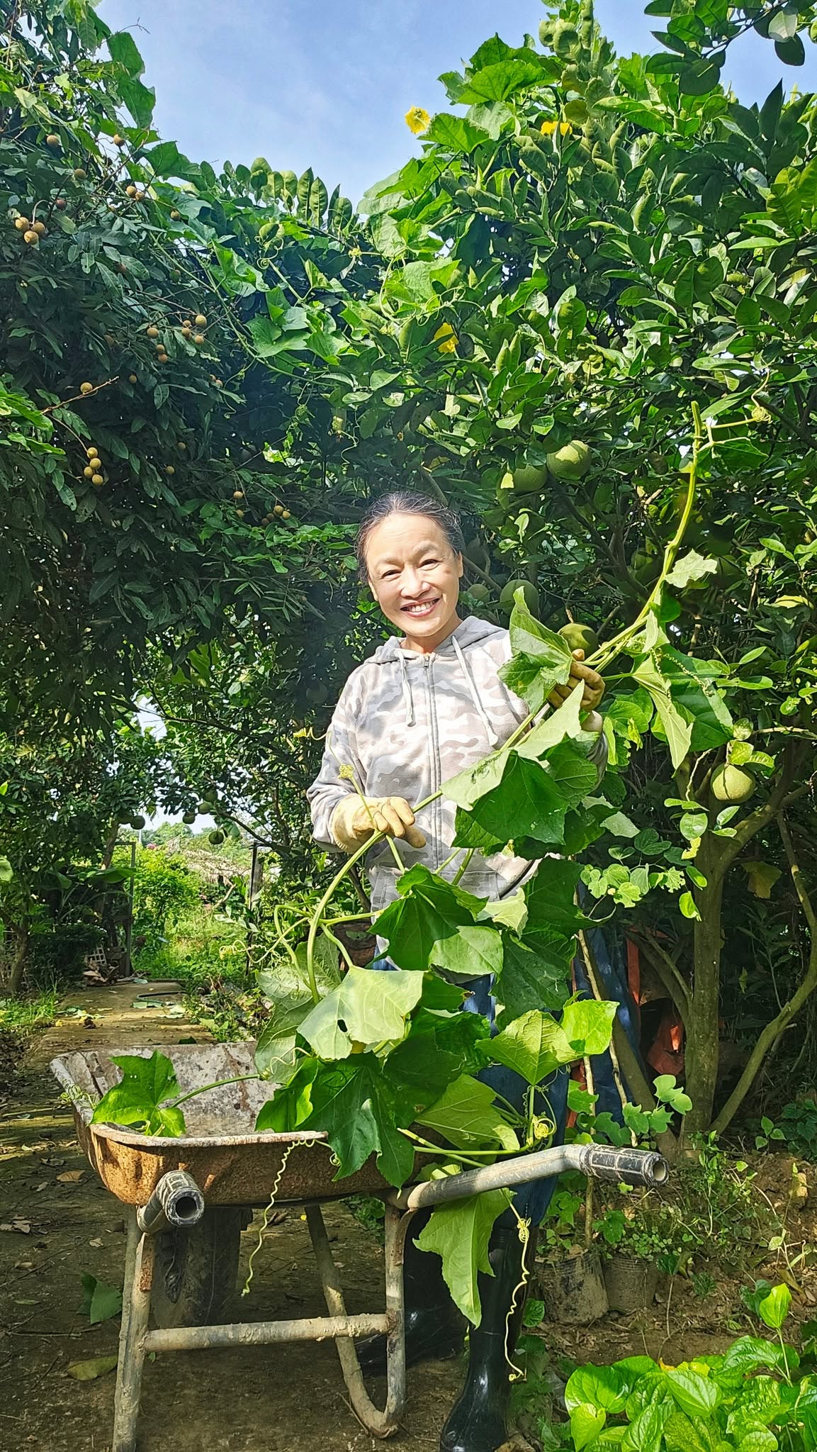 Mẹ nuôi của Phương Oanh nghỉ hưu sớm, làm nông dân ở khu vườn rộng 4.000m² ven sông Hồng