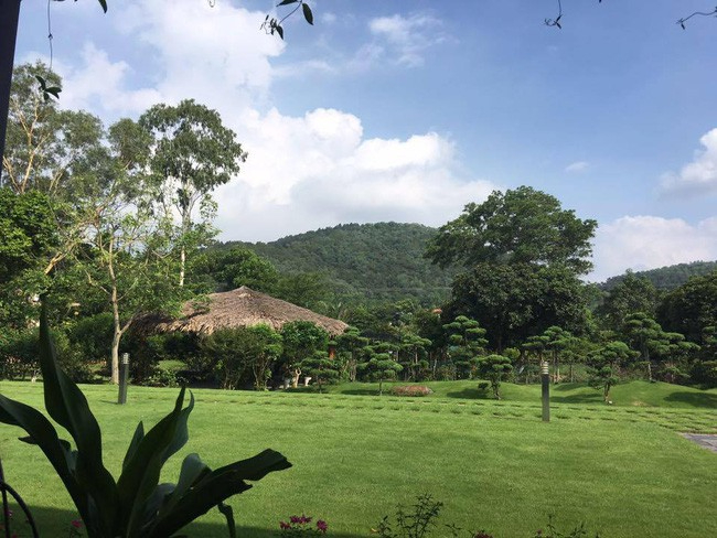 Sao hạng A từng là thủ khoa Nhạc viện, ở biệt phủ nhà vườn rộng 1,2 hécta tựa chốn bồng lai