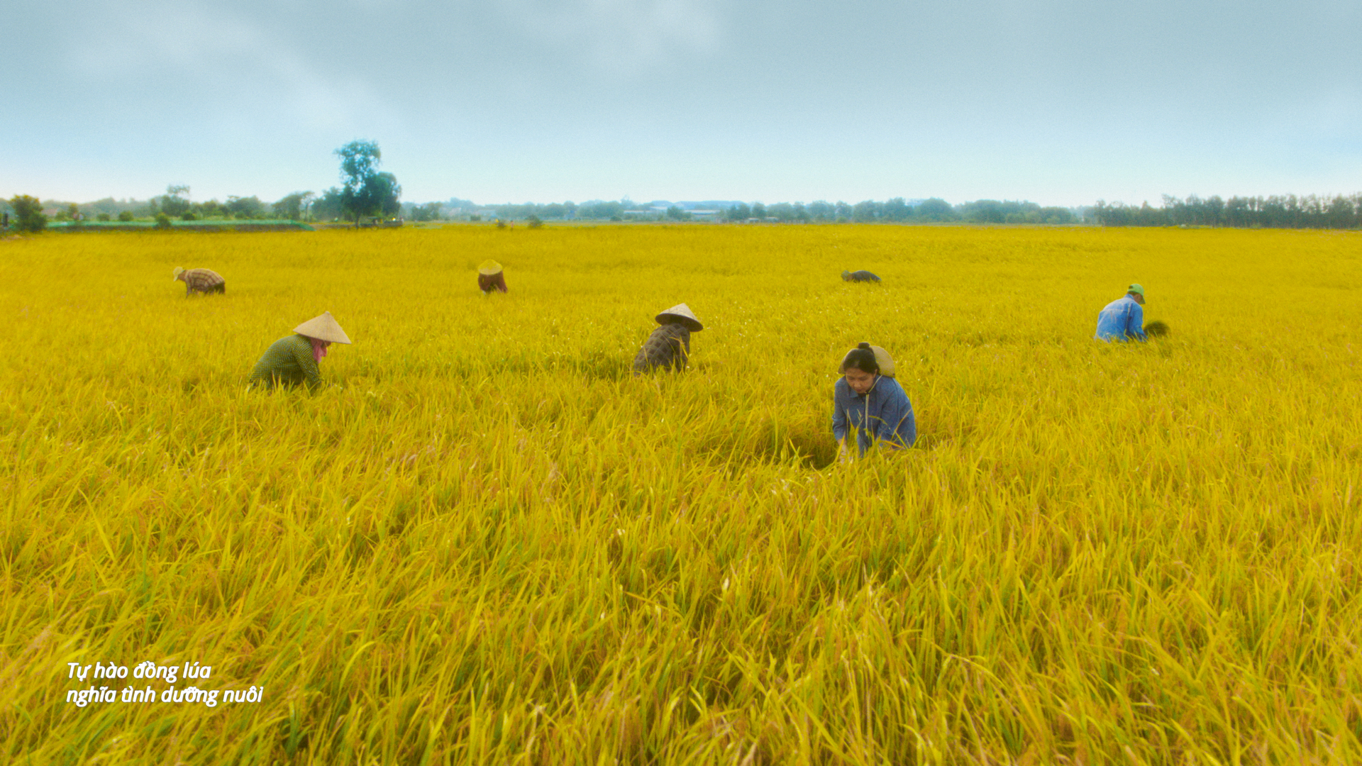 Phương Mỹ Chi hậu đám cưới rình rang ở TP.HCM