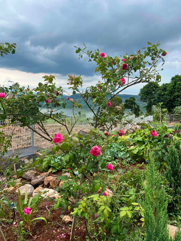 Empty