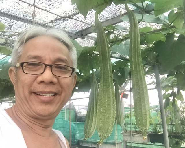 Gallery - Nam nghệ sĩ cưới trước yêu sau với vợ kín tiếng, sống trong nhà phố 3 tầng, chỉ đam mê trồng rau  - image 8