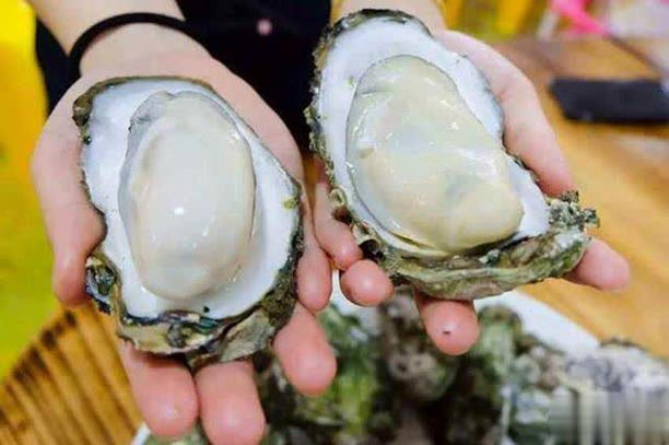 Đi chợ không nên mua 3 loại hàu này, giá rẻ đến mấy cũng đừng ham