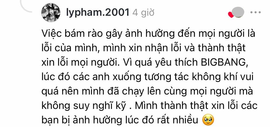 Ly Phạm lên tiếng xin lỗi. Ảnh chụp màn hình.