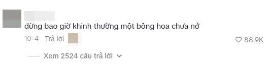 Bình luận trên TikTok có tới hơn 88k người thả tim (Ảnh chụp màn hình)