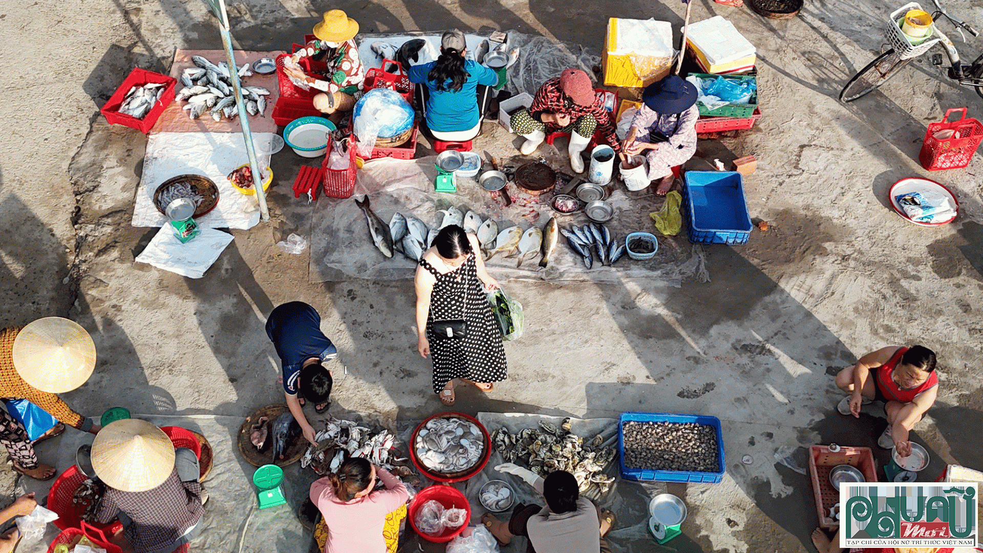 Cá, mực, tôm tươi rói được ngư dân bày bán bên bến thuyền.