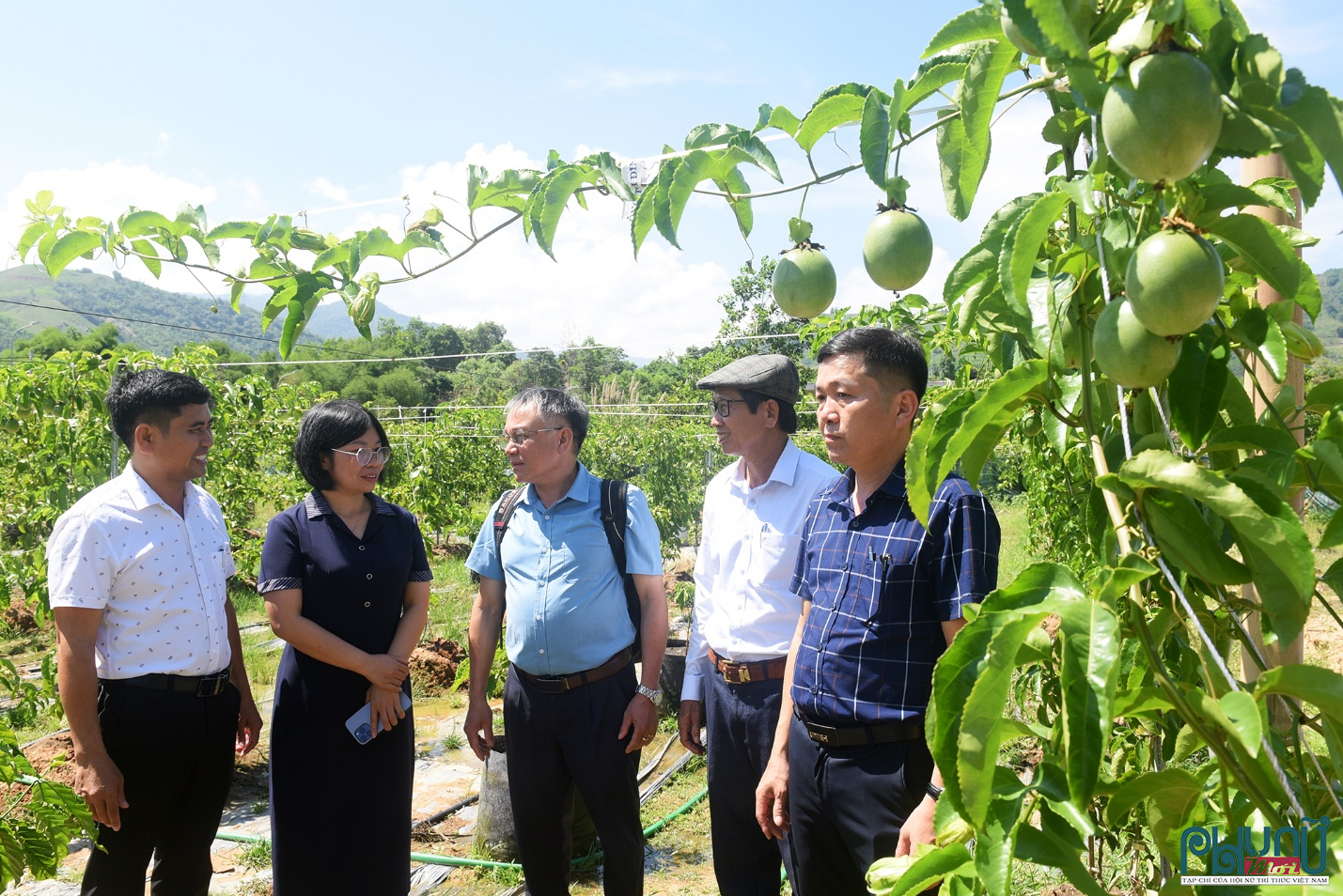 Xã Sơn Tây Thượng chú trọng ứng dụng khoa học, phát triển nông nghiệp công nghệ cao.
