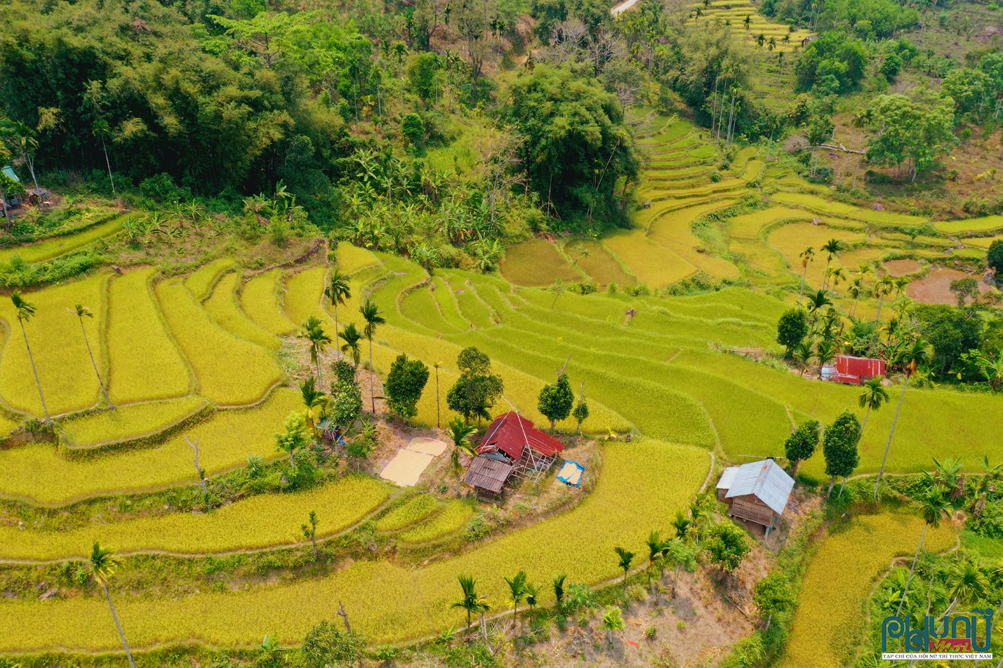 Sơn Tây Thượng trở thành vùng kinh tế sinh thái miền núi phát triển bền vững