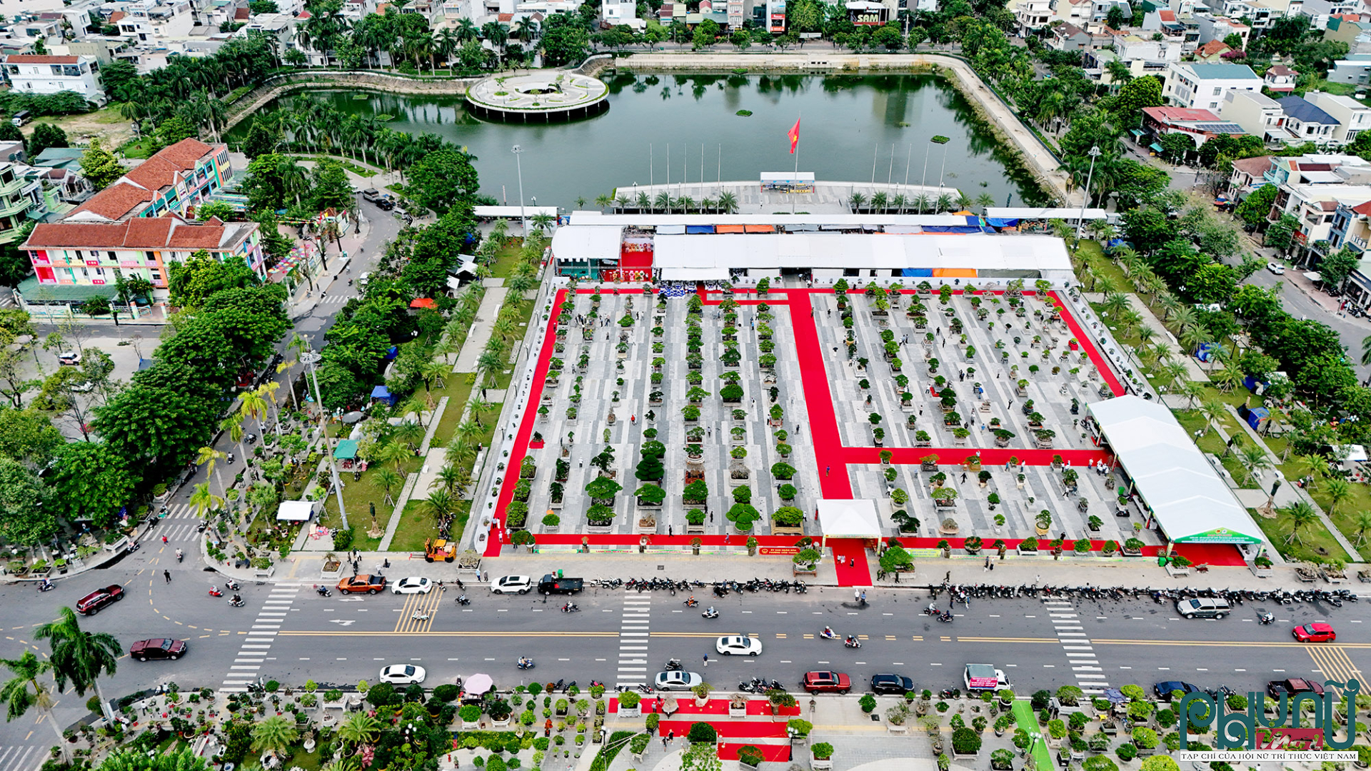 Cây cảnh bạc tỷ hội tụ giữa lòng Quảng Ngãi