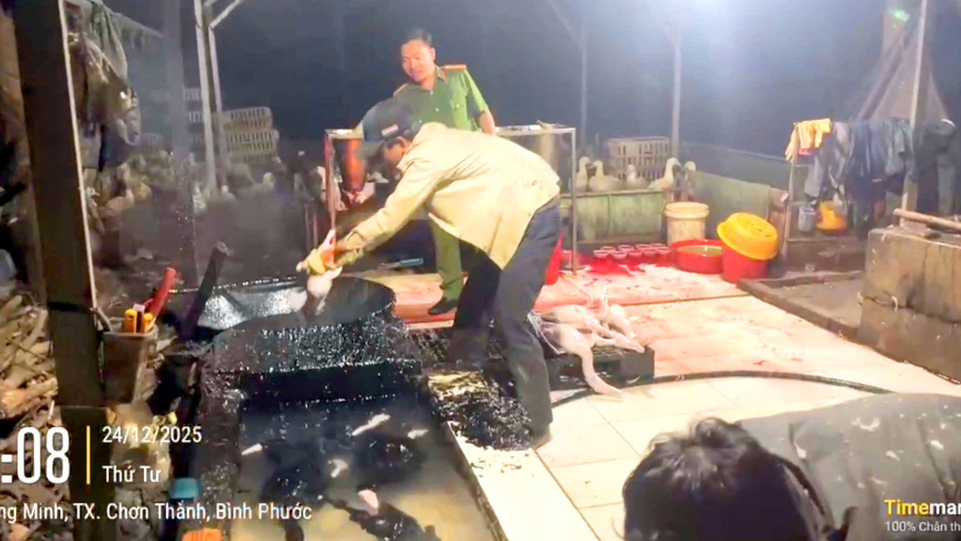 Vịt được giết mổ không đảm bảo an toàn vệ sinh thực phẩm - Ảnh: Công an tỉnh Đồng Nai