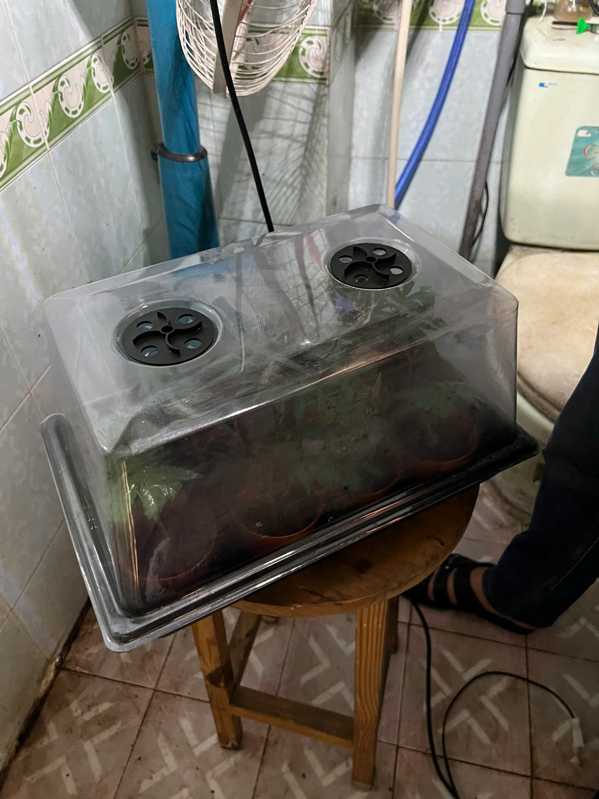 Đột kích ngôi nhà số 745, bắt Đỗ Hữu Duy sinh năm 2003 trong chuyên án lớn nhất