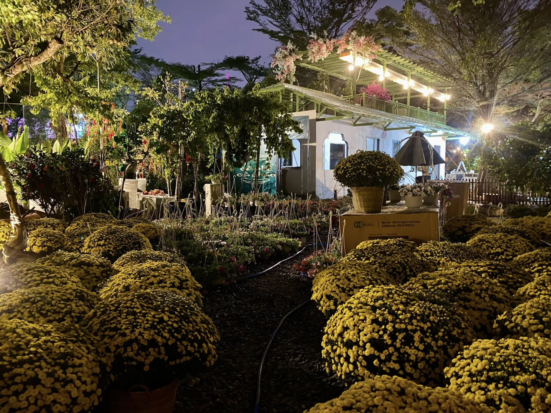 Quán sẽ được khai trương từ ngày 5/2 và hiện đang dần hoàn thiện với không gian ngập hoa và cây trái.