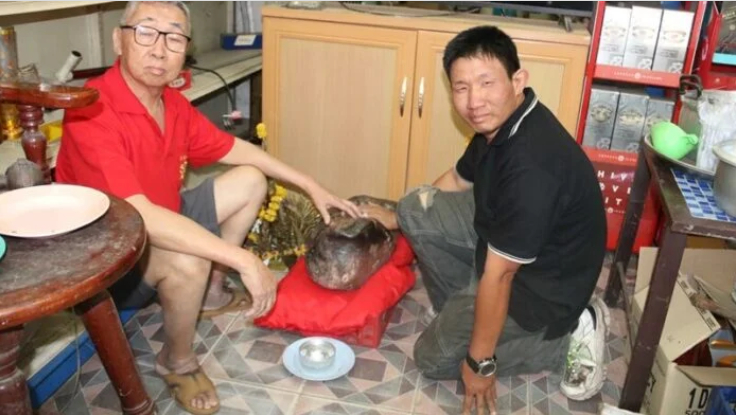 Tảng đá nặng khoảng 60 kg và đã được chủ cửa hàng đặt tên là Đá Vua Ếch. (Ảnh: Siamrath)