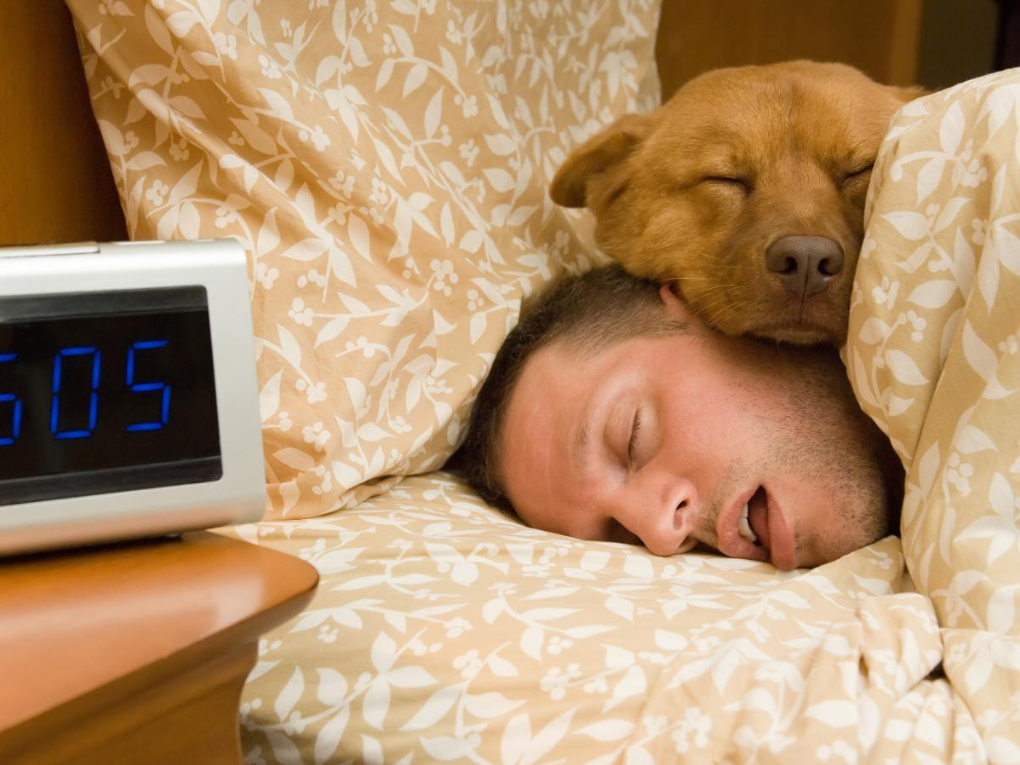 Một trong những điều được nhắc đến nhiều nhất là việc tránh ngủ nướng vào ngày Xuân phân. (Ảnh: Pinterest)