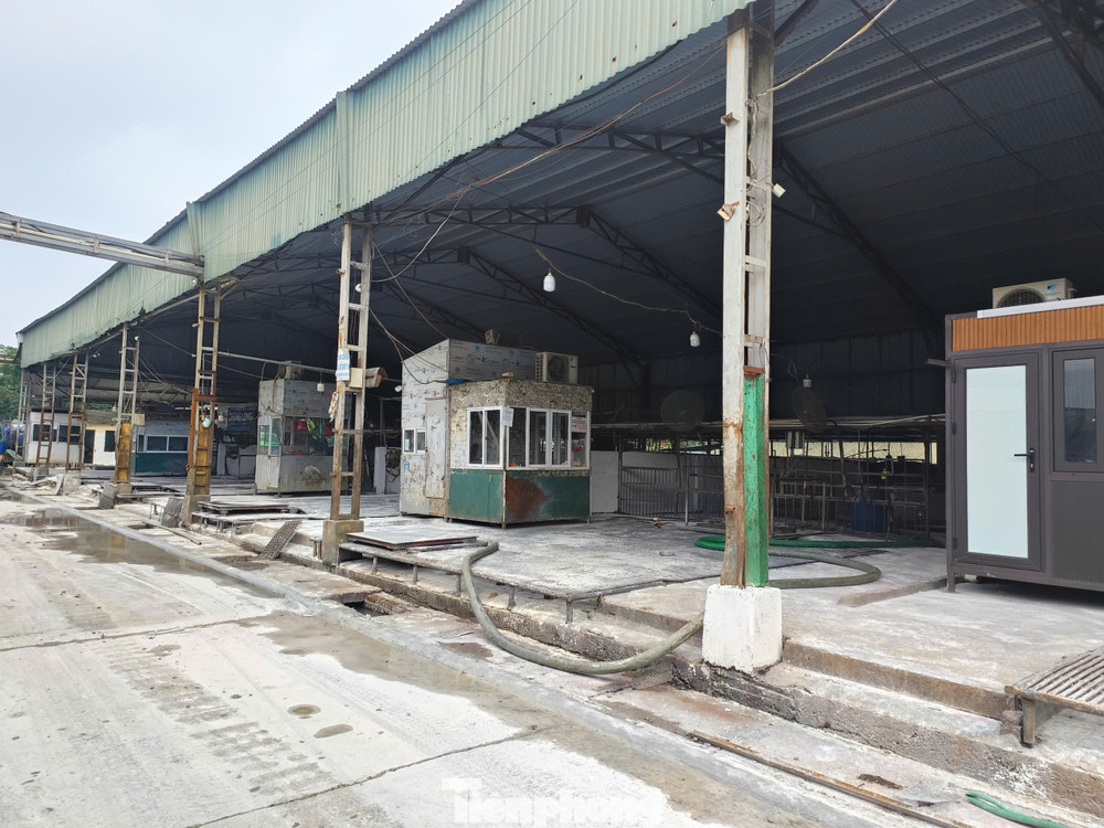 Hình ảnh bên trong lò mổ  (Ảnh: Tiền phong).