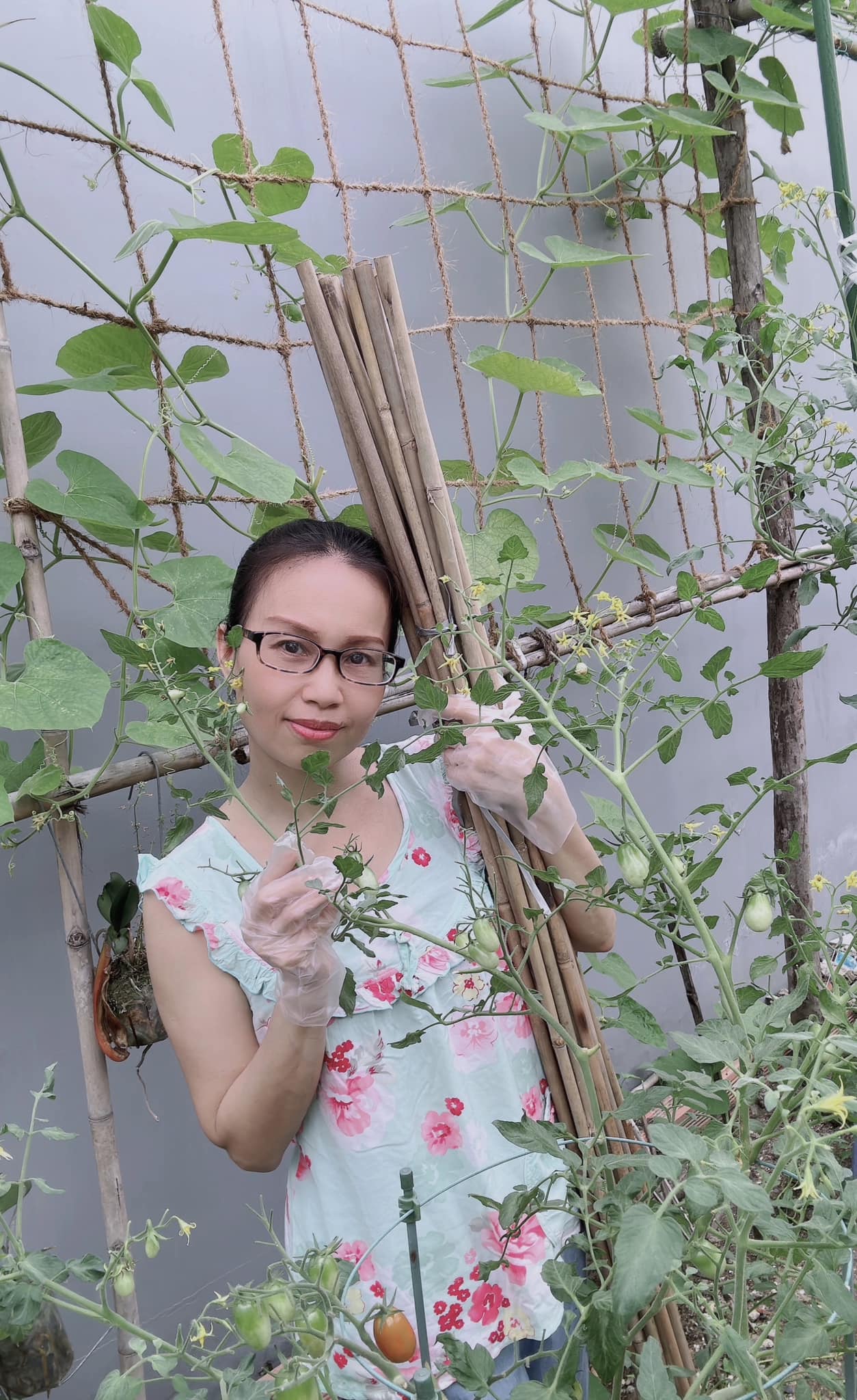 Cuộc sống viên mãn hiện tại của Cẩm Ly.