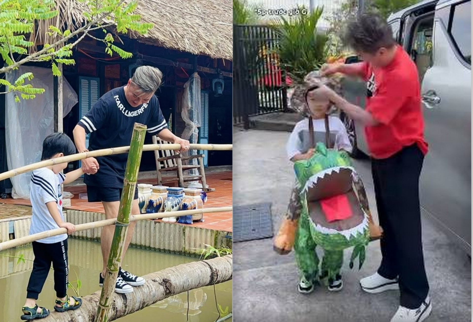 Cảnh gà trống nuôi con của 