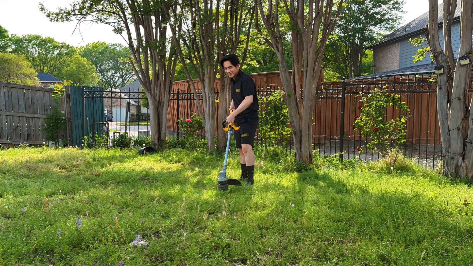 Đan Trường tự tay dọn cỏ trong vườn nhà ở Mỹ