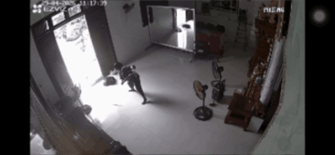 Mẹ ruột một nam diễn viên bị gà tấn công hoảng loạn, ngã sõng soài: 'Không ai hay, ai đâu cứu'