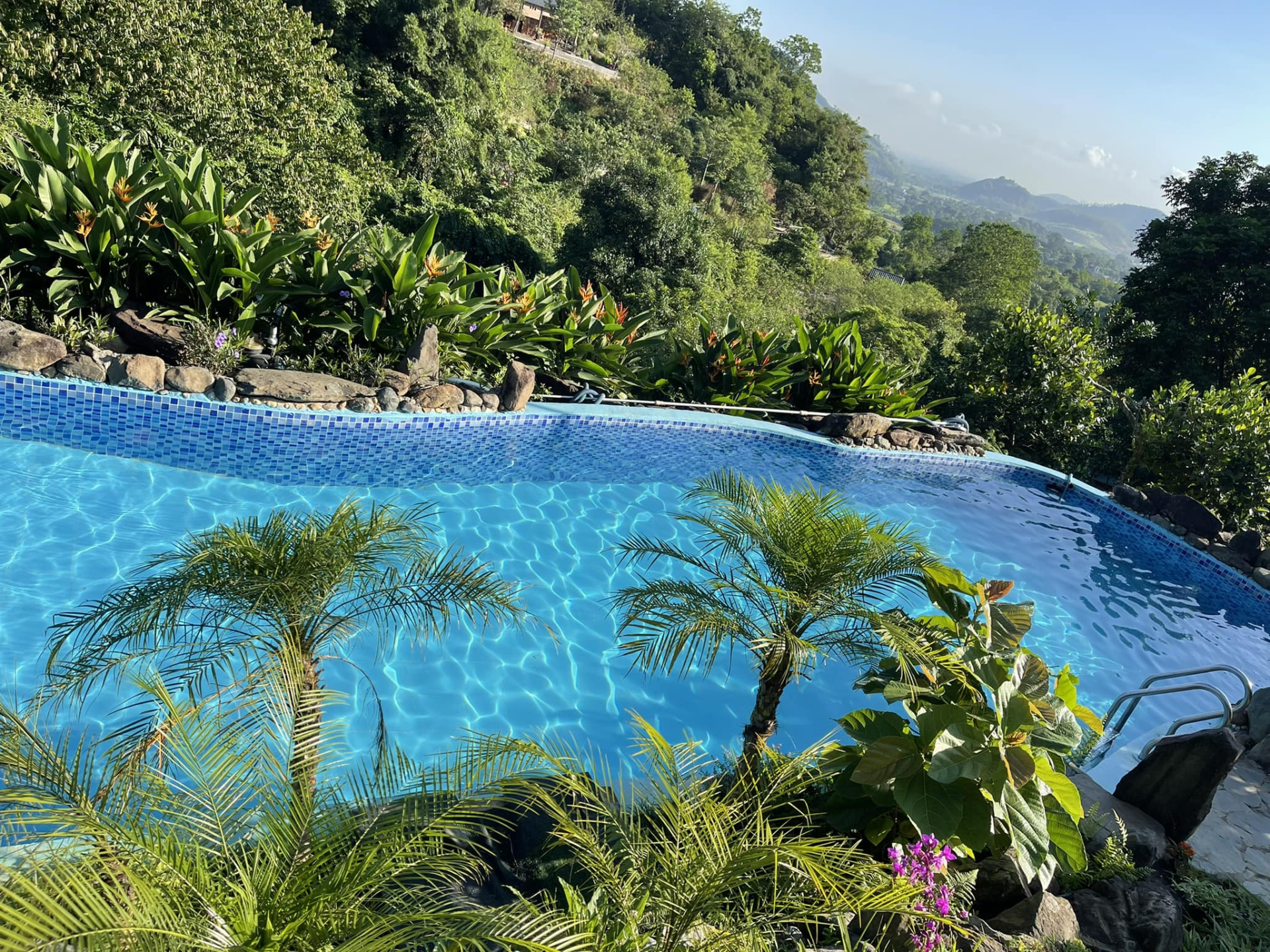 Việt Hoàn hiện đang sống một mình trong nhà đồi 12.000m2