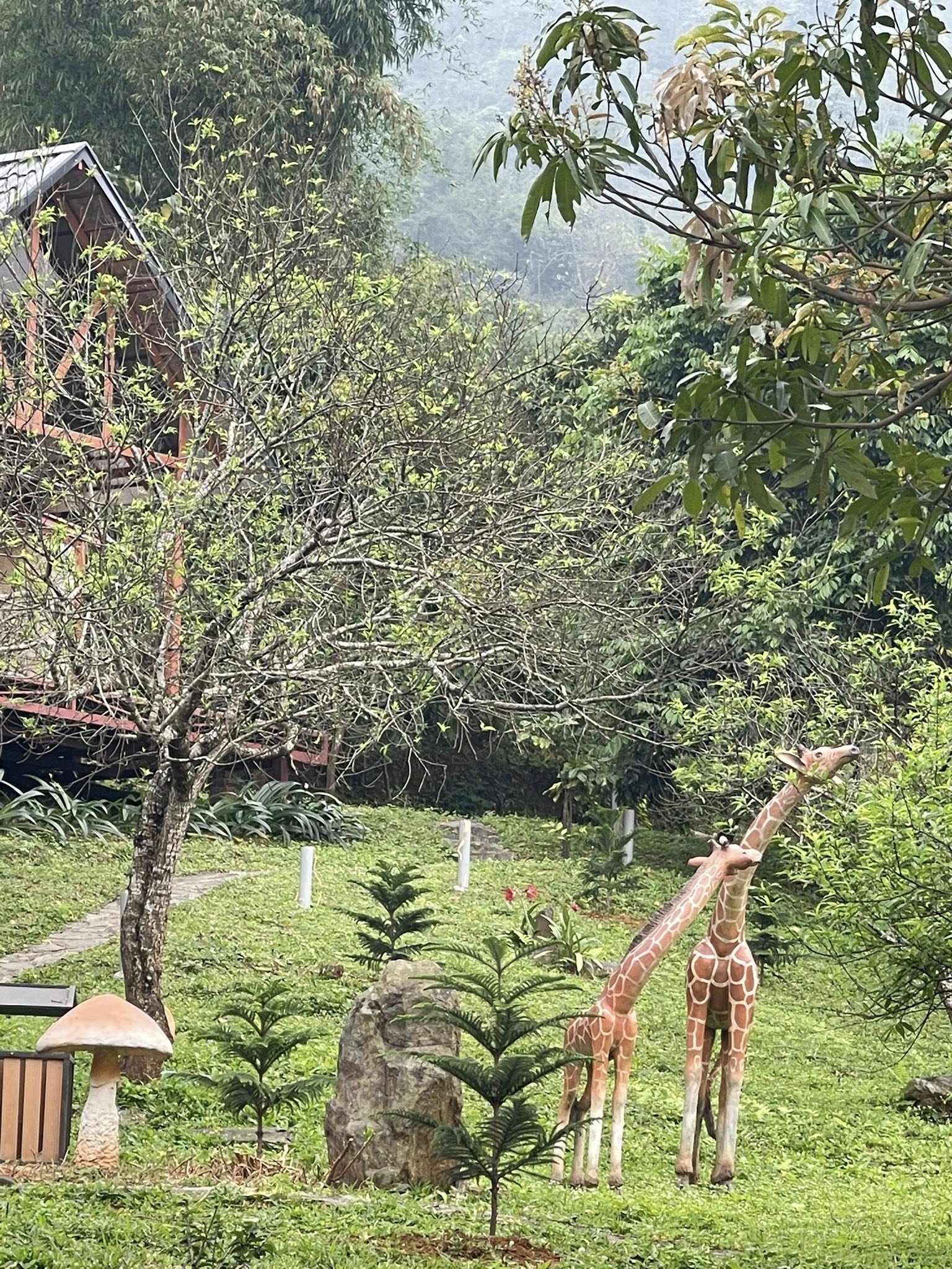 Ông hoàng nhạc đỏ để lại nhà cho vợ con sau ly hôn, ở 1 mình trên đồi 12.000m2: 