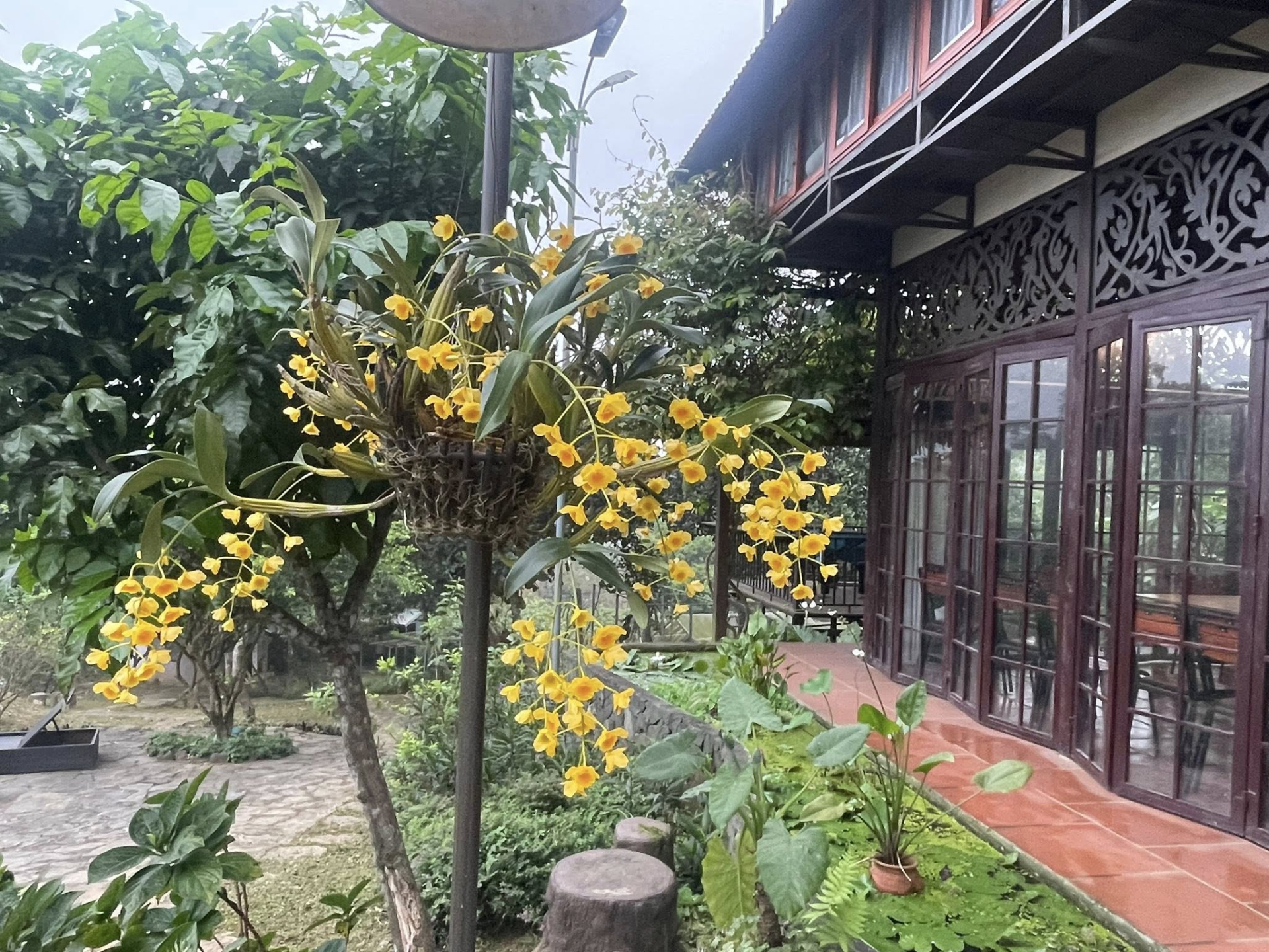 Ông hoàng nhạc đỏ để lại nhà cho vợ con sau ly hôn, ở 1 mình trên đồi 12.000m2: 