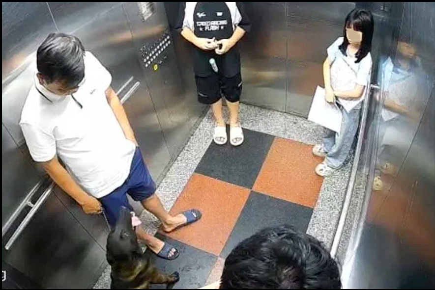 Hình ảnh người đàn ông dắt chó vào khu vực chung của toà nhà khiến nhiều người lo lắng.