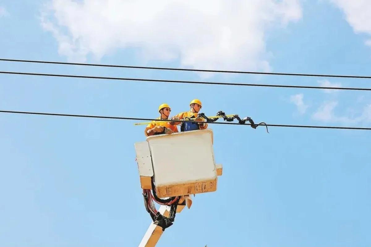 Phát hiện vật thể nhìn như rắn quấn quanh đường dây điện của Trung Quốc: