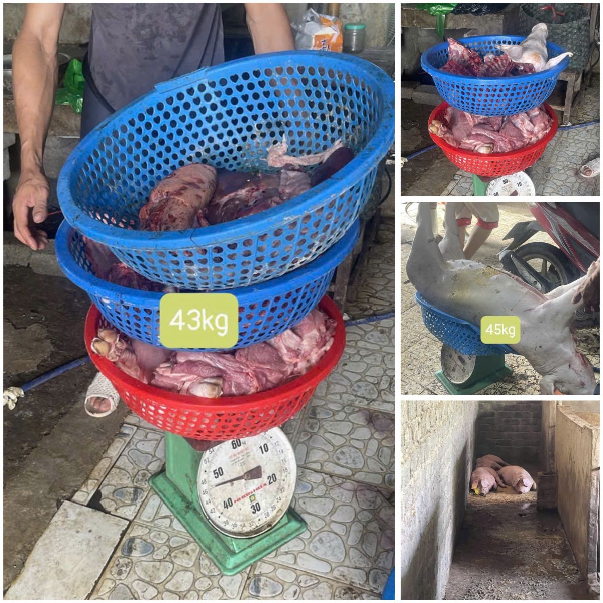 Tang vật vụ việc - Ảnh: Công an Thanh Hóa