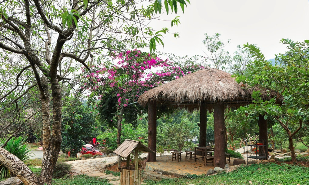 Khu nhà trên đồi rộng 12.000m2 của Việt Hoàn