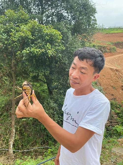 Nam NSƯT hài lòng với cuộc sống một mình trên đồi
