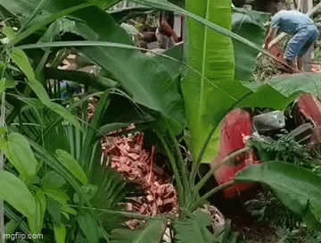 Hiện trường vụ tai nạn khiến người ta ám ảnh.