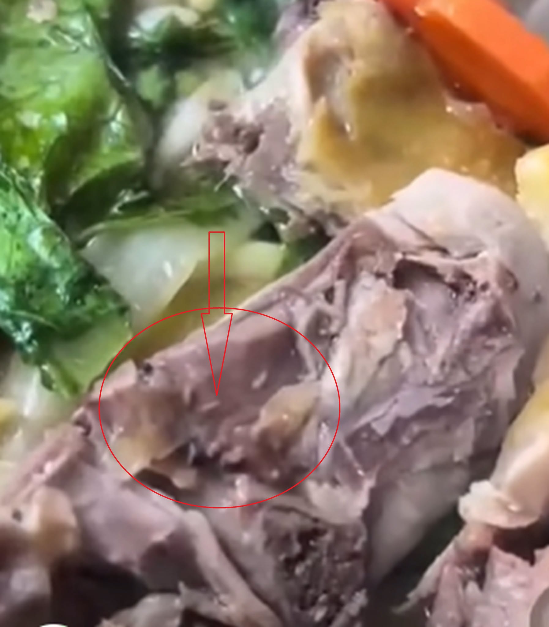  Hình ảnh dòi bò lúc nhúc trong món thịt gà. (Ảnh cắt từ clip)