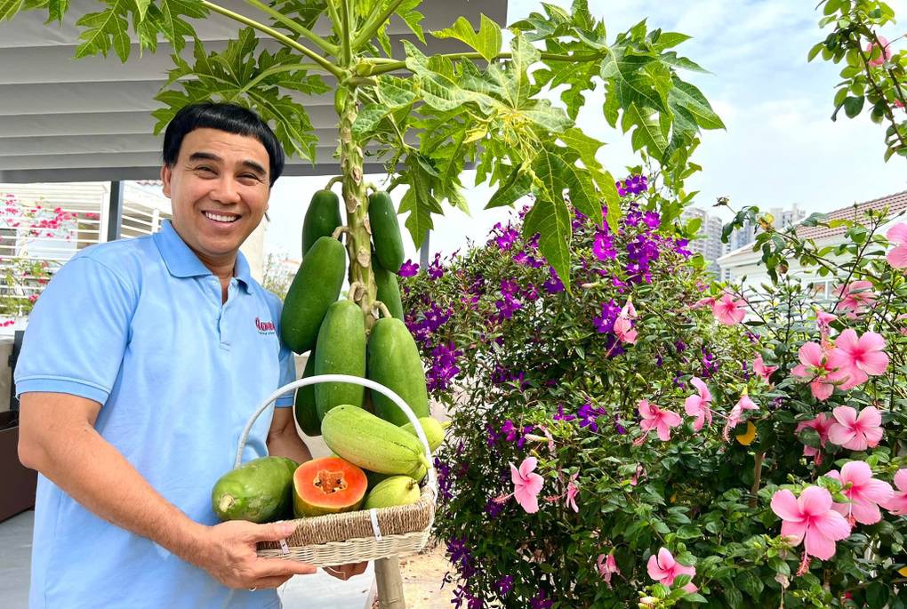Quyền Linh thu hoạch trái cây trong biệt thự.