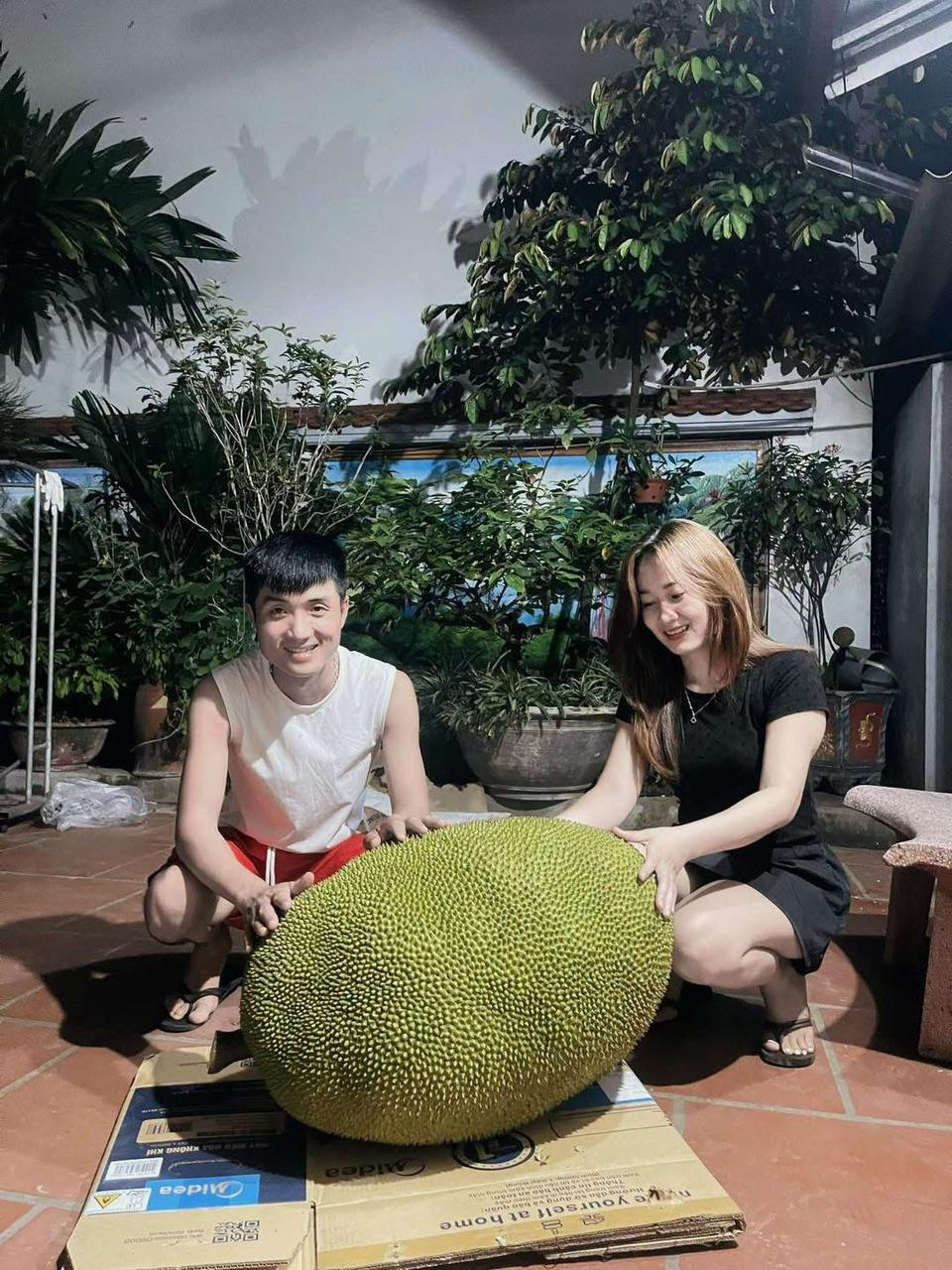 Quả mít 50kg của gia đình chị Nguyễn Hà gia nhập đường đua mít 