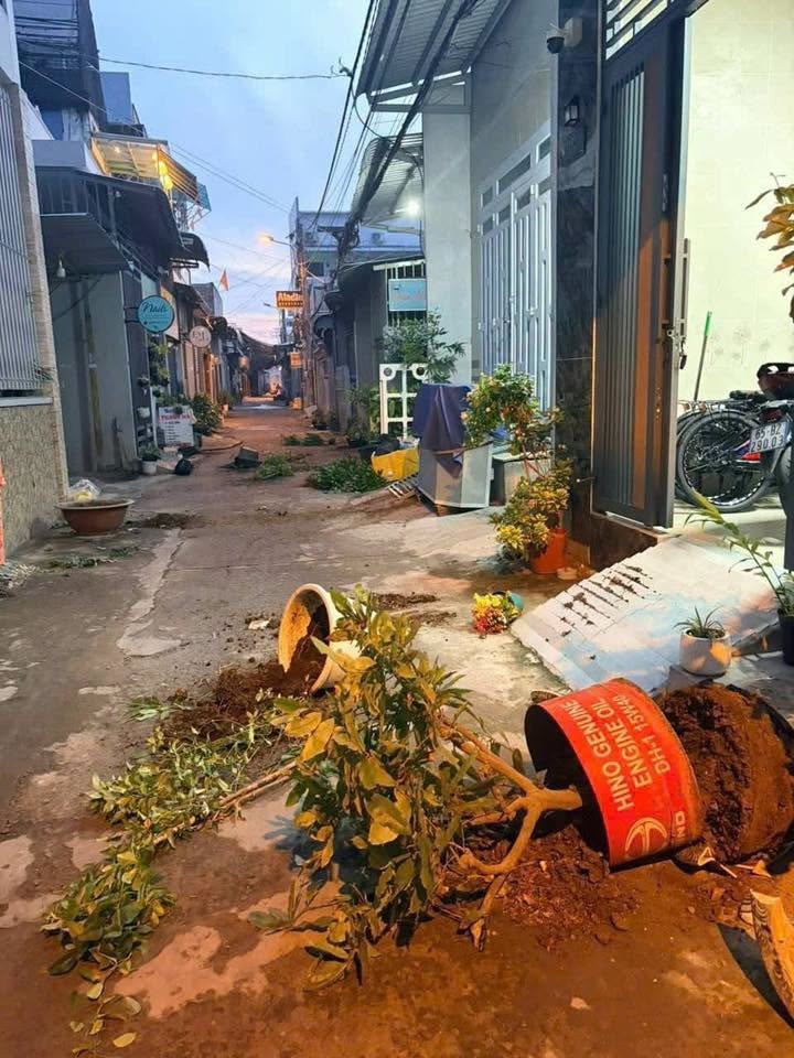 Cãi nhau với cô gái, thanh niên đập phá hàng loạt chậu cây của người dân: Gia đình thiệt hại nhắn nhủ một điều