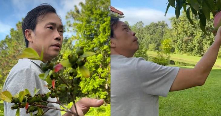 Biệt thự nhà vườn ở Mỹ.