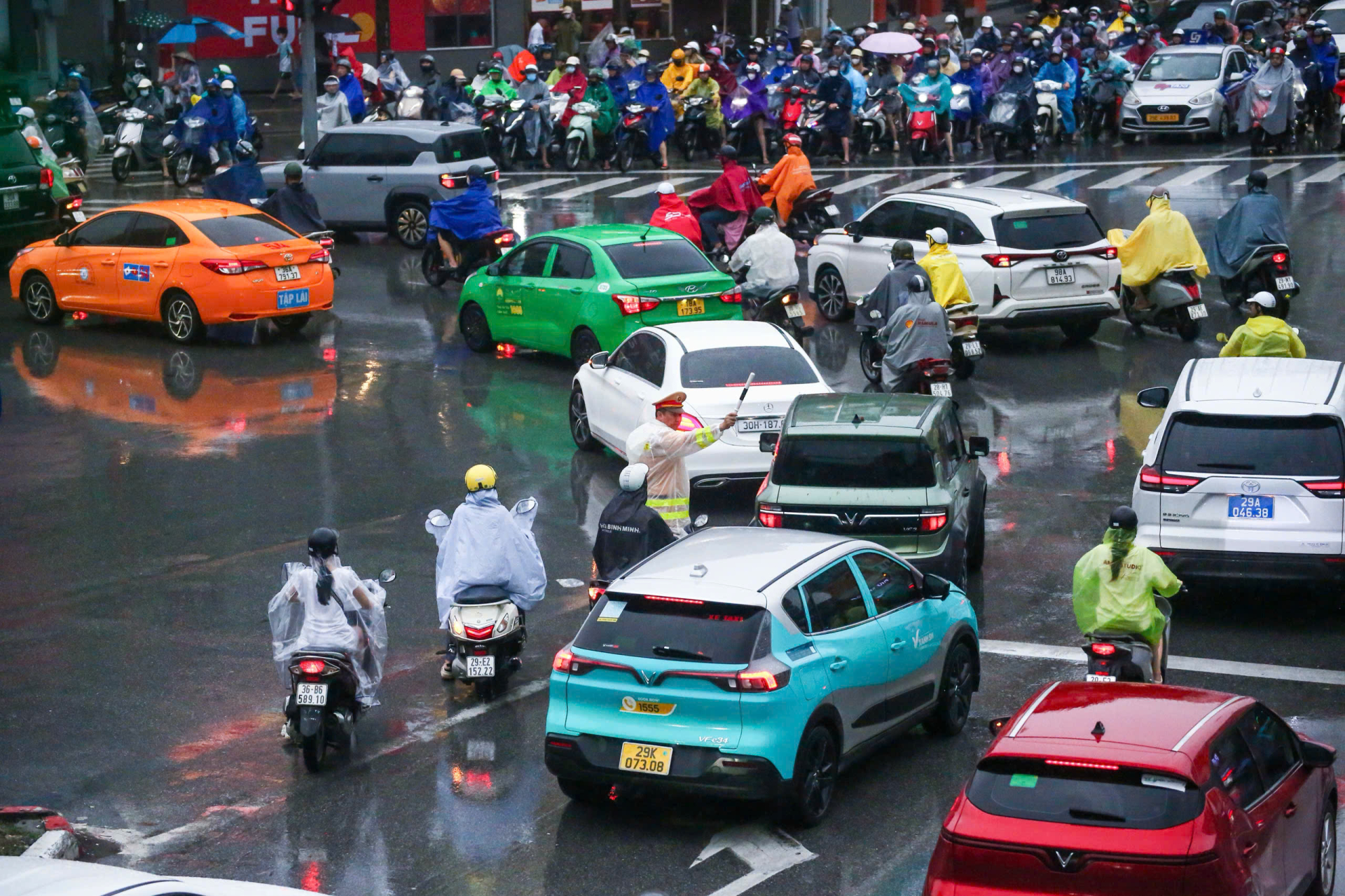Ảnh minh họa: VTV