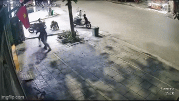 Camera an ninh nhà dân ghi lại sự việc. (Ảnh cắt từ clip)