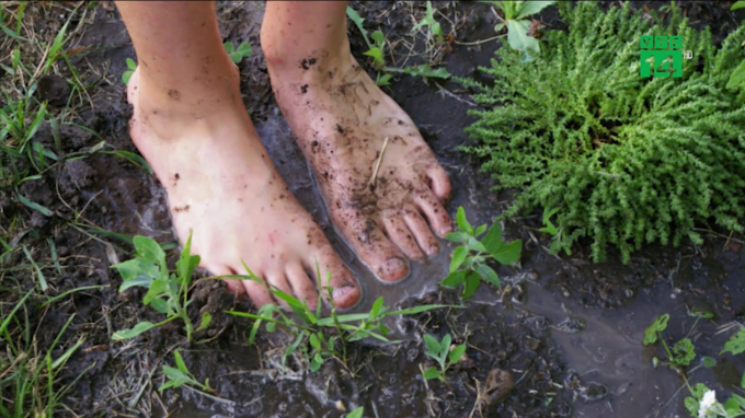   Hạn chế tiếp xúc với bùn, đất hoặc các vùng nước có khả năng bị ô nhiễm.  