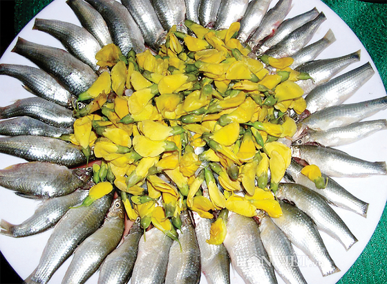 Cá linh và bông điên điển là sự kết hợp kinh điển của ẩm thực miền Tây mùa nước nổi.