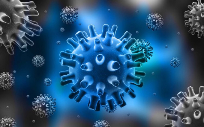 Hiện tại, y học thế giới ghi nhận có sáu loại virus corona có thể lây nhiễm sang người.